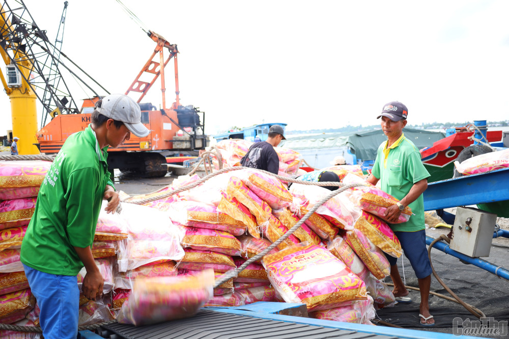 Hoạt động xuất khẩu gạo tại Cảng Tân Cảng Thốt Nốt.