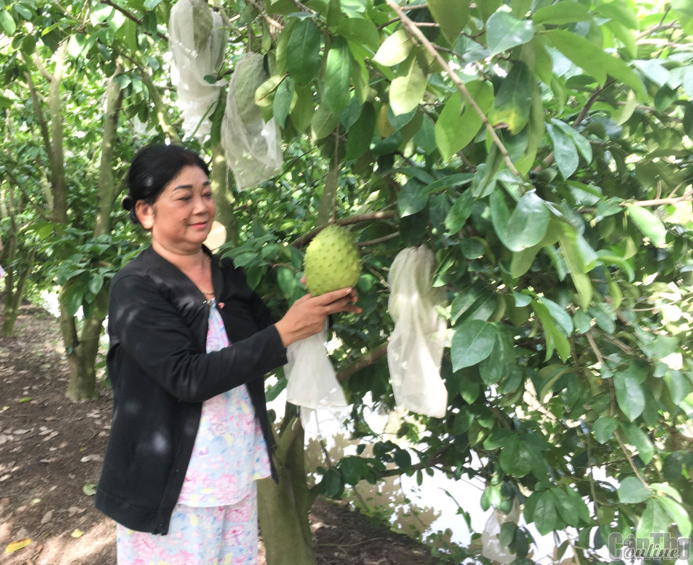“Tích tiểu thành đa”