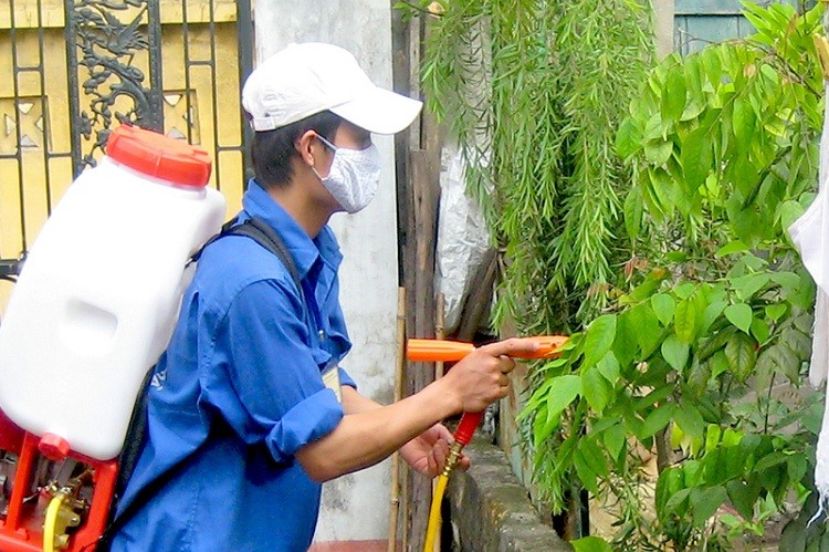 Anh Thư - Công ty chuyên cung cấp dịch vụ diệt côn trùng nhanh chóng, hiệu quả