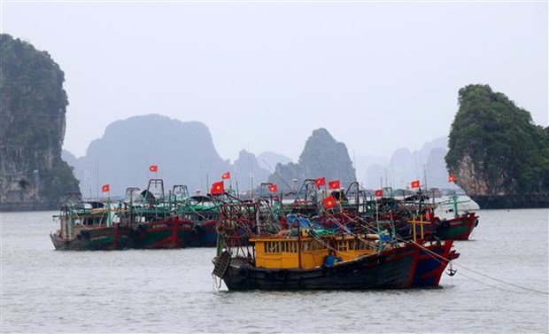 Bão số 1 còn cách Móng Cái khoảng 60km, gió giật cấp 8