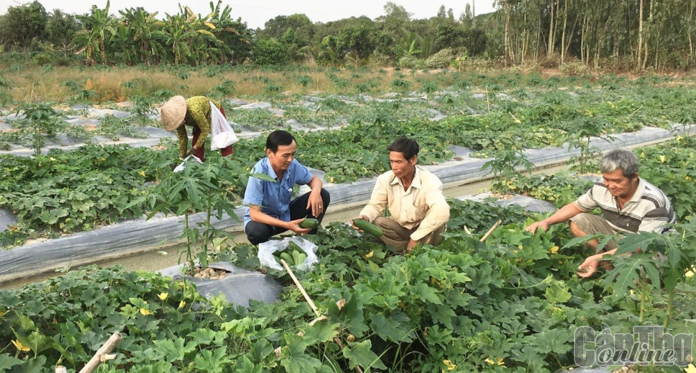 Tập trung nguồn lực giảm nghèo bền vững