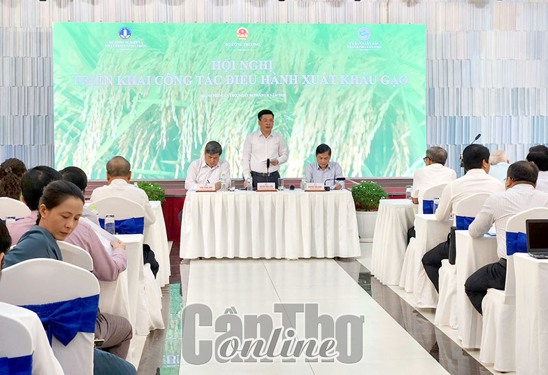 Tận dụng thời cơ xuất khẩu gạo nhưng phải đảm bảo an ninh lương thực quốc gia