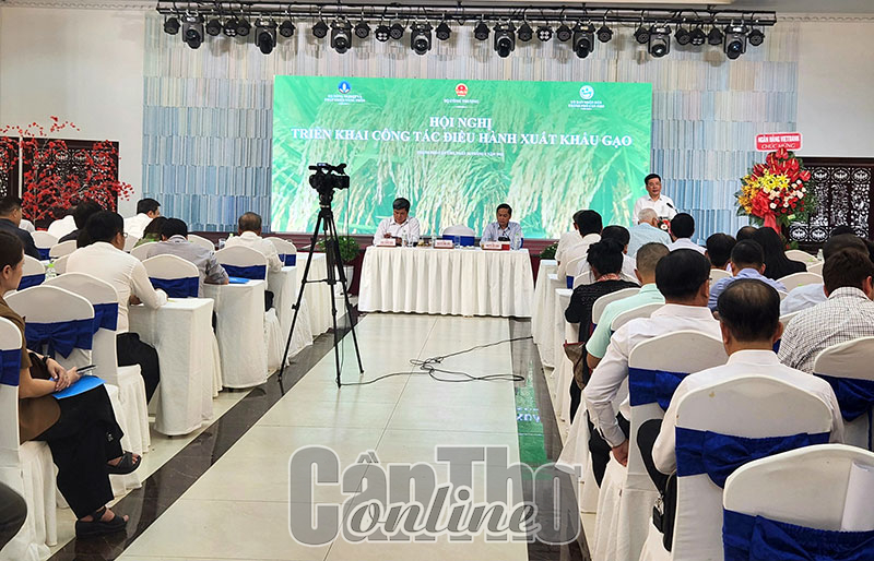 Tận dụng thời cơ xuất khẩu gạo nhưng phải đảm bảo an ninh lương thực quốc gia