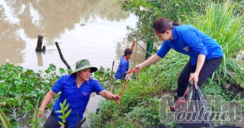 Qua thực hiện các phong trào, nhiều đoàn viên, thanh niên phường Thới Hòa đã được xem xét, kết nạp vào Đảng. Trong ảnh: Đoàn viên, thanh niên phường trồng bần chống sạt lở tuyến đường Rạch Phê. 