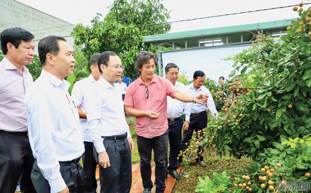 Đồng chí Nguyễn Văn Hiếu, Ủy viên dự khuyết Ban Chấp hành Trung ương Đảng, Bí thư Thành ủy Cần Thơ và lãnh đạo Hội Nông dân thành phố thăm mô hình nông nghiệp trên địa bàn thành phố. Ảnh: HỒNG VÂN