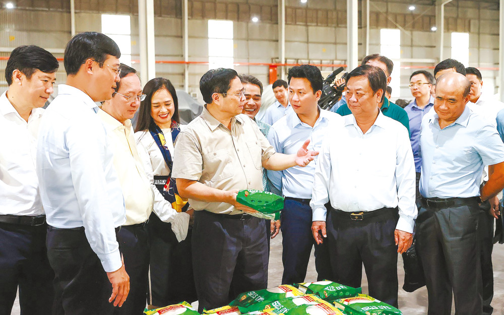 Thủ tướng Phạm Minh Chính xem sản phẩm gạo xuất khẩu của Nhà máy chế biến gạo của Công ty TNHH lúa, gạo Việt Nam. Ảnh: DƯƠNG GIANG - TTXVN