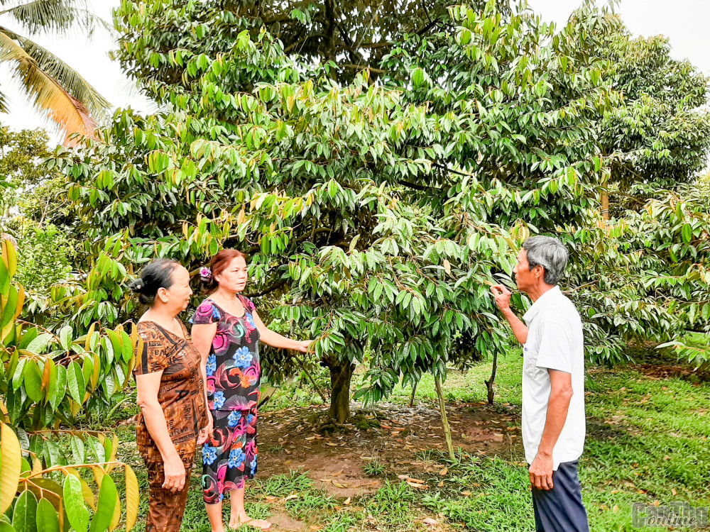 Đồng chí Trần Văn Thoàng (bên phải) thăm hỏi tình hình sản xuất của người dân.
