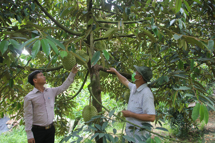 Tạo chuyển biến từ nhận thức đến hành động trong xây dựng nông thôn mới 