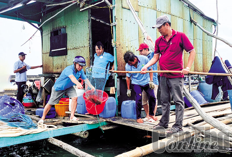 Hỗ trợ nông dân phát triển bền vững kinh tế biển