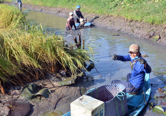 Cơ cấu kinh tế chuyển dịch đúng hướng