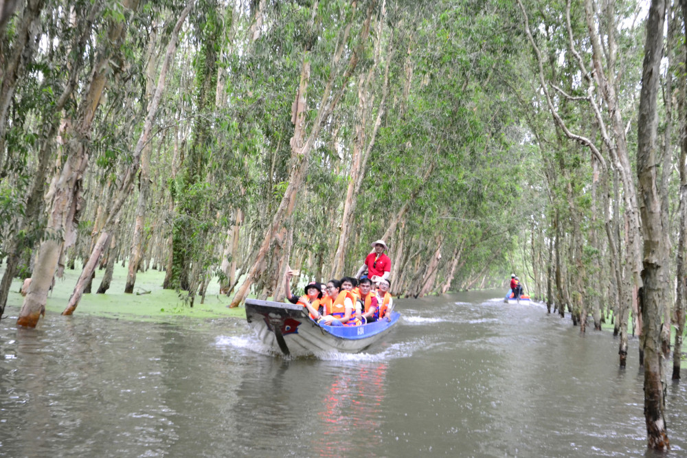 Khai thác du lịch ở rừng tràm Trà Sư.