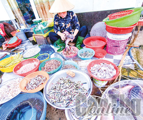 Cá linh được bày bán cùng nhiều loại cá khác tại chợ An Hòa, quận Ninh Kiều.