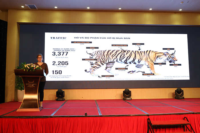 Bà Heather Sohl, Trưởng bộ phận về buôn bán hổ trái phép, WWF trình bày về Vai trò của hổ nuôi nhốt trong hoạt động buôn bán hổ bất hợp pháp trên toàn cầu.