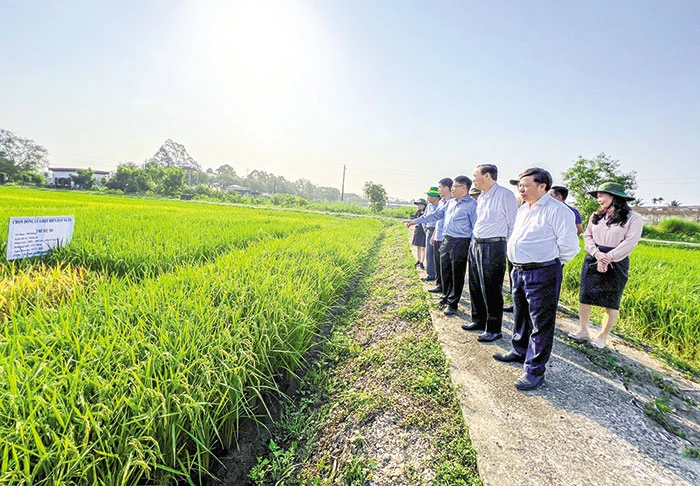 Kế thừa truyền thống nghiên cứu, góp sức tái cơ cấu ngành Nông nghiệp