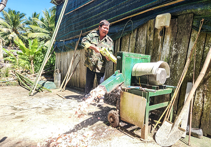 Dù đã 75 tuổi nhưng CCB Đặng Văn Khiêm vẫn cần mẫn lao động phát triển kinh tế gia đình.