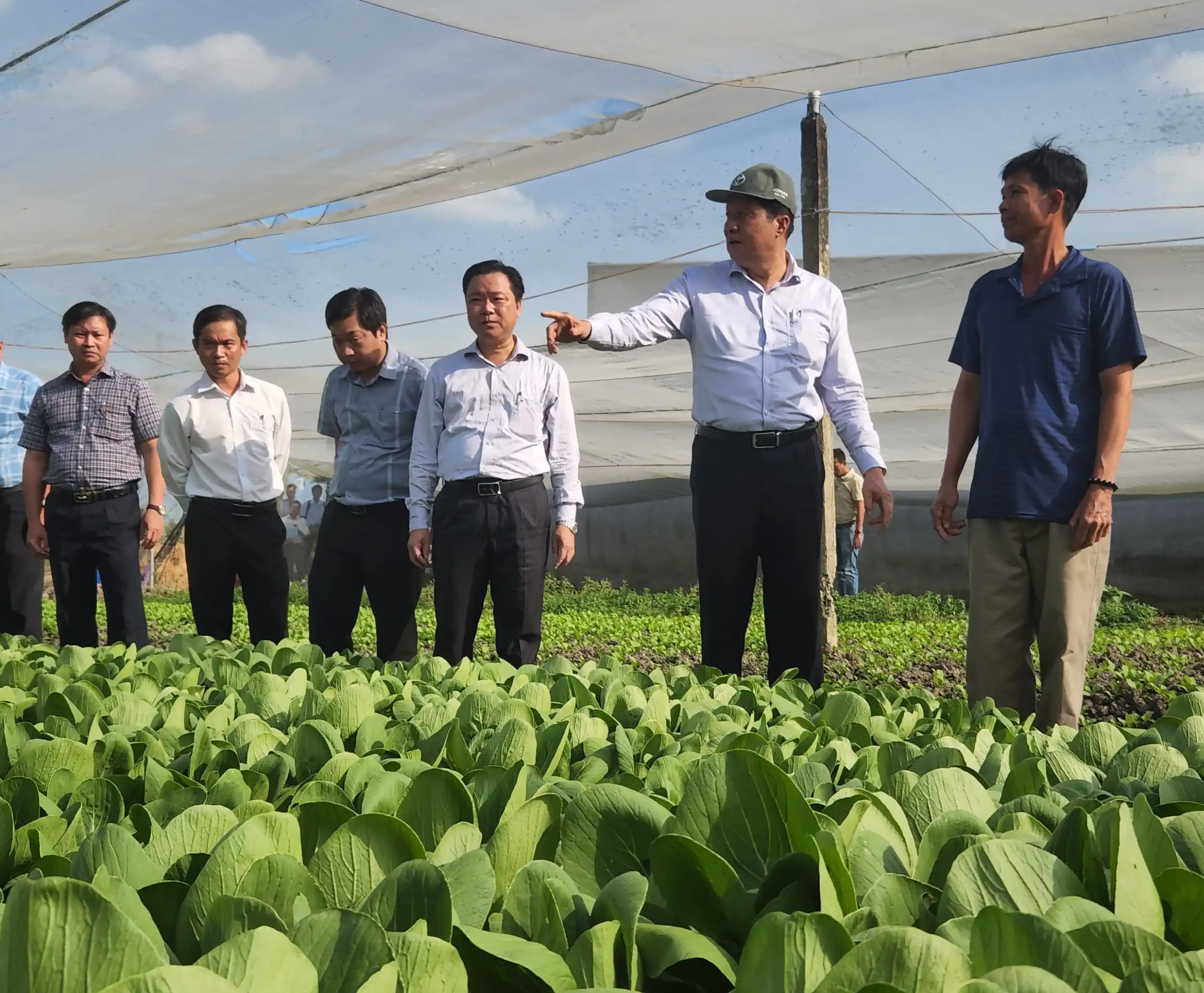 Lãnh đạo thành phố và quận Cái Răng tham quan thực tế mô hình sản xuất trên địa bàn phường Hưng Thạnh. 