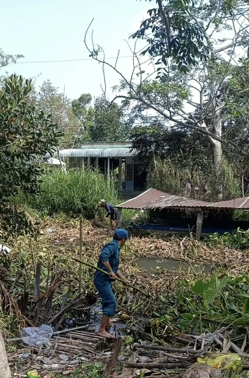 ĐVTN xã Giai Xuân ra quân vớt lục bình, khai thông dòng chảy rạch Ba Gừa và Ba Cui. 