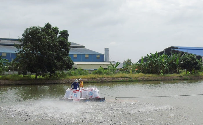 Thu hoạch gần 171.430 tấn thủy sản