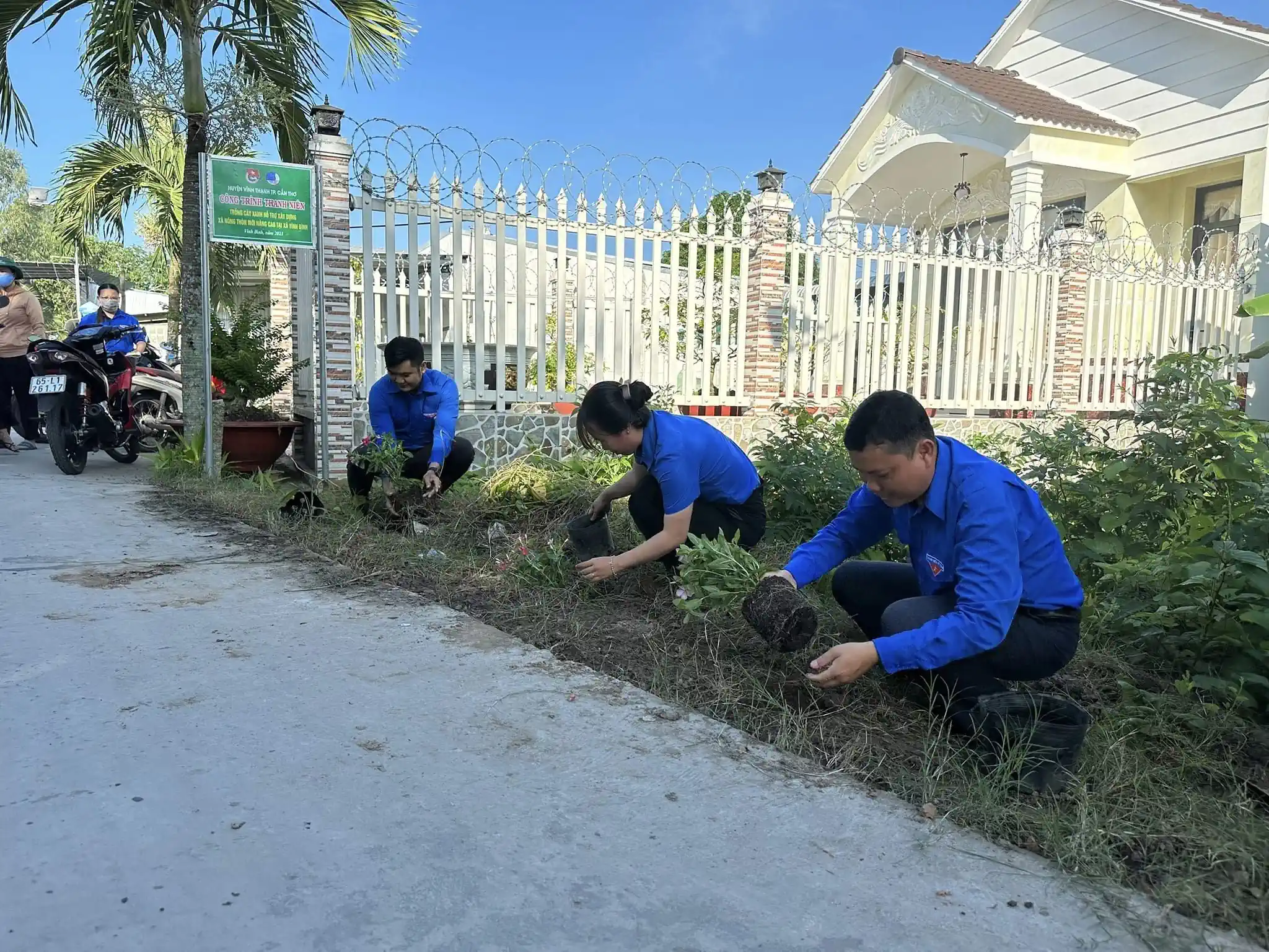 Tuổi trẻ TP Cần Thơ trồng cây xanh tại xã Vĩnh Bình, huyện Vĩnh Thạnh.