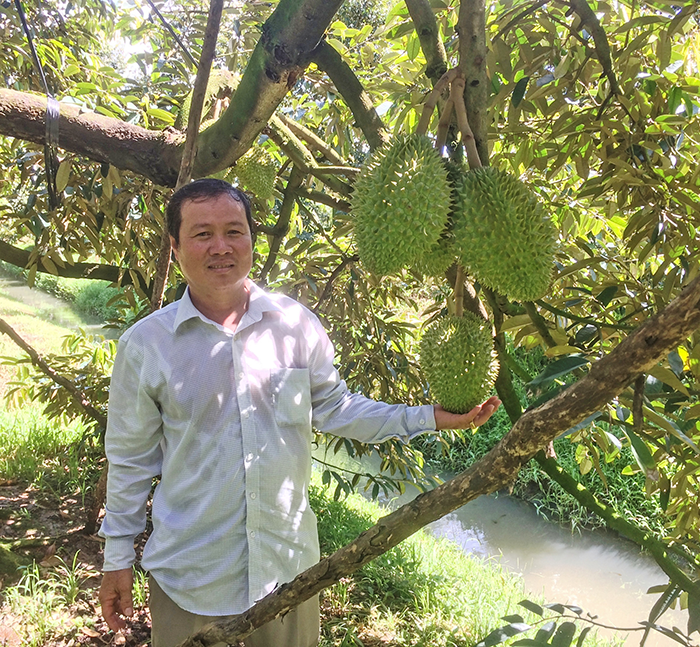 Thiết thực chăm lo, hỗ trợ hội viên, nông dân nâng cao đời sống Mô hình trồng sầu riêng của ông Huỳnh Thanh Lâm có lợi nhuận hơn 1 tỉ đồng/năm.