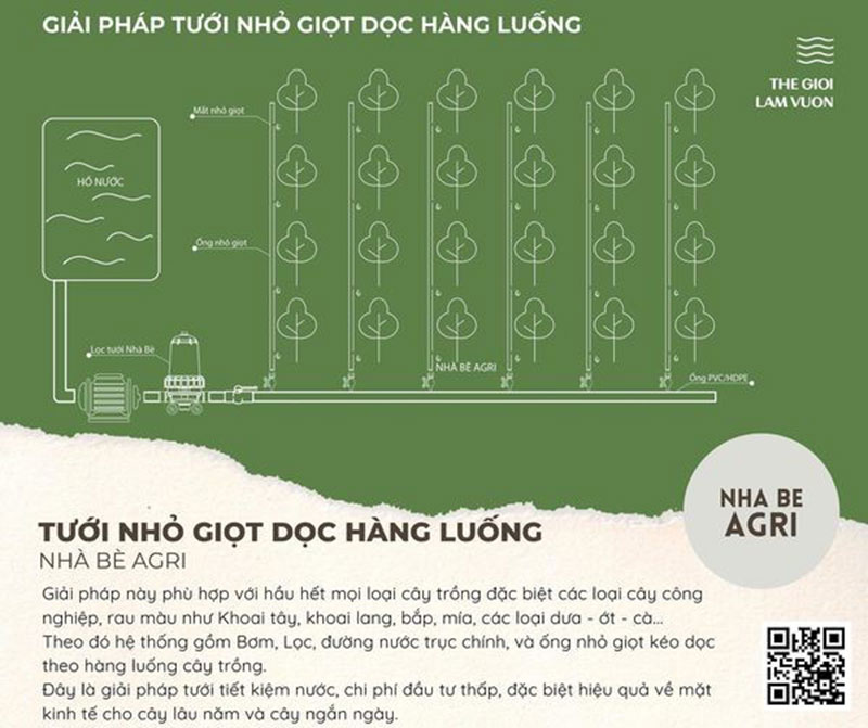 Hệ thống tưới nhỏ giọt - Giải pháp chăm sóc sầu riêng hiệu quả
