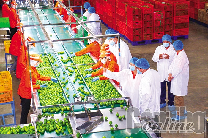 Thúc đẩy phát triển ngành Công Thương phía Nam