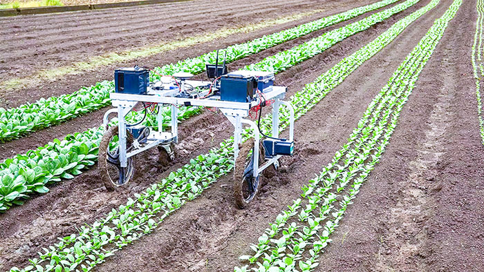 Robot phun thuốc trừ sâu do công ty Legmin phát triển. Ảnh: Takram