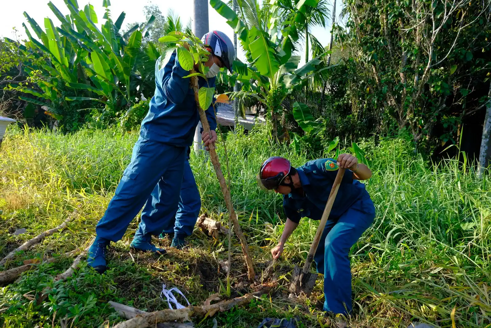 Hoạt động trồng cây xanh trên địa bàn TP Cần Thơ.