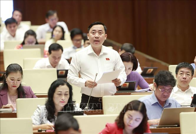 Đại biểu Quốc hội TP Cần Thơ Đào Chí Nghĩa phát biểu ý kiến. Ảnh: Doãn Tấn - TTXVN