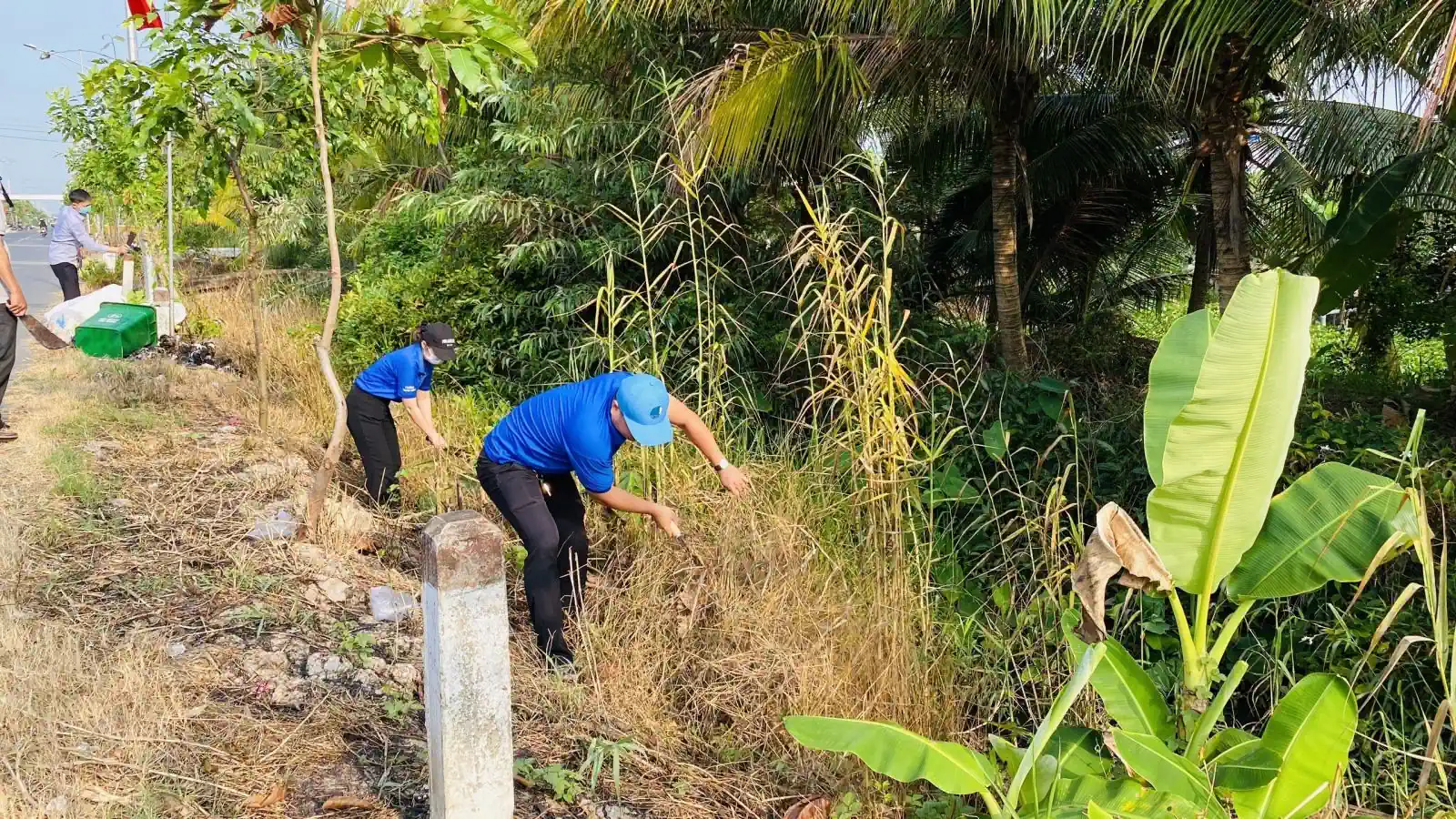 ĐVTN quận Thốt Nốt tham gia phát quang bụi rậm, vệ sinh môi trường.