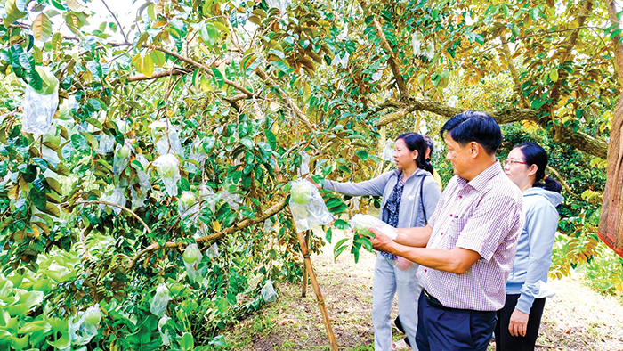 Lãnh đạo huyện Phong Điền thường xuyên thăm hỏi, kịp thời tháo gỡ khó khăn hoạt động sản xuất kinh doanh trên địa bàn.