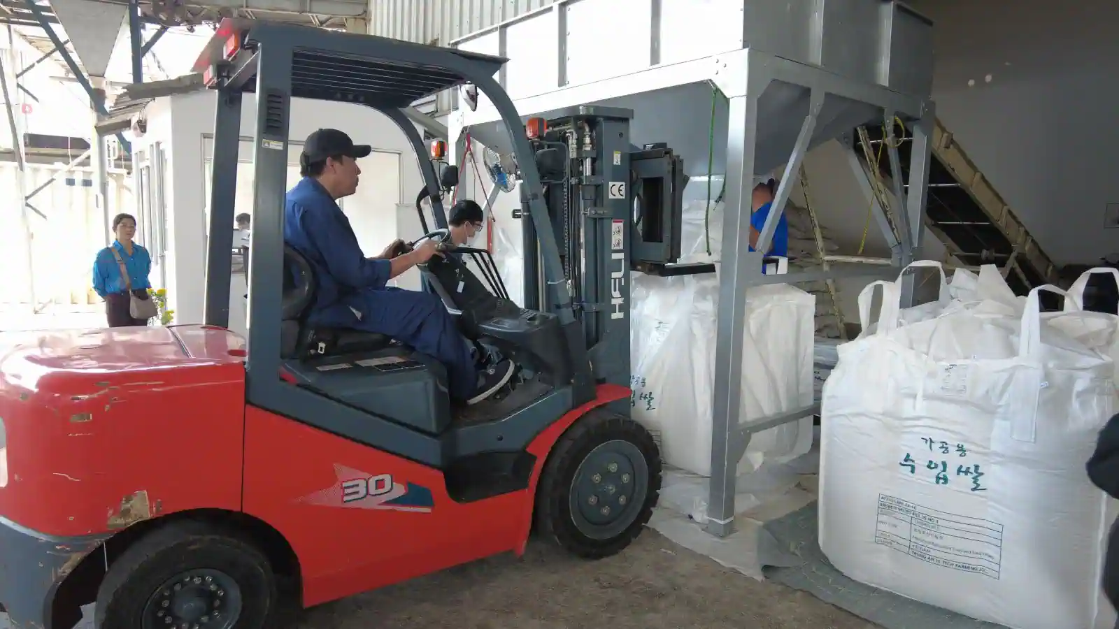 Hoạt động chế biến gạo phục vụ xuất khẩu tại Công ty CP Nông nghiệp công nghệ cao Trung An.