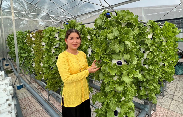 Mô hình trồng rau thủy canh trụ đứng trong nhà kính của chị Diễm bước đầu mang lại hiệu quả, thu nhập ổn định.