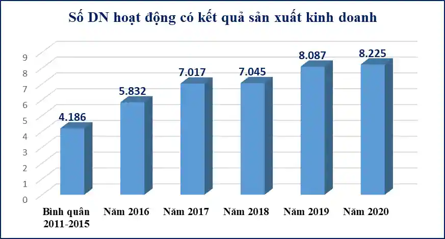 Nguồn: Sách trắng Doanh nghiệp Việt Nam 2022