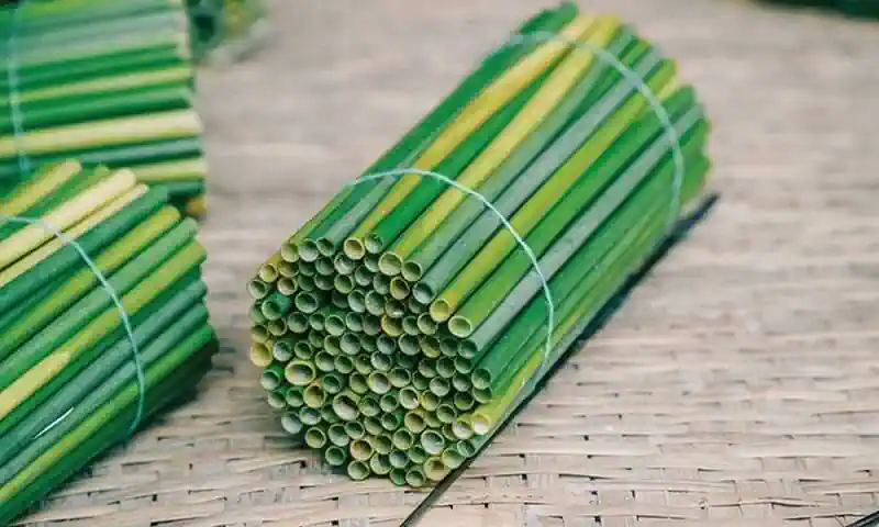 Ứng dụng của cây cỏ bàng và nghề từ cây cỏ bàng