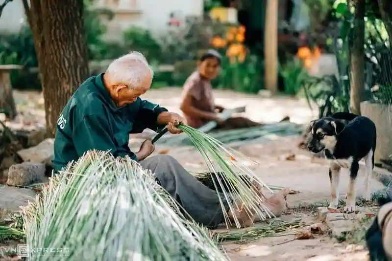 Ứng dụng của cây cỏ bàng và nghề từ cây cỏ bàng