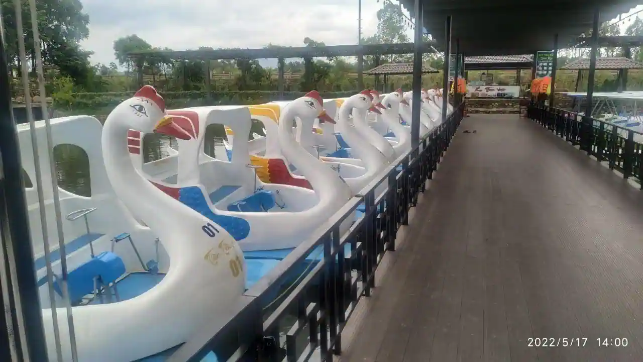 Thiên nga đạp nước uy tín, chất lượng hàng đầu tại Đồ Chơi Vinaco
