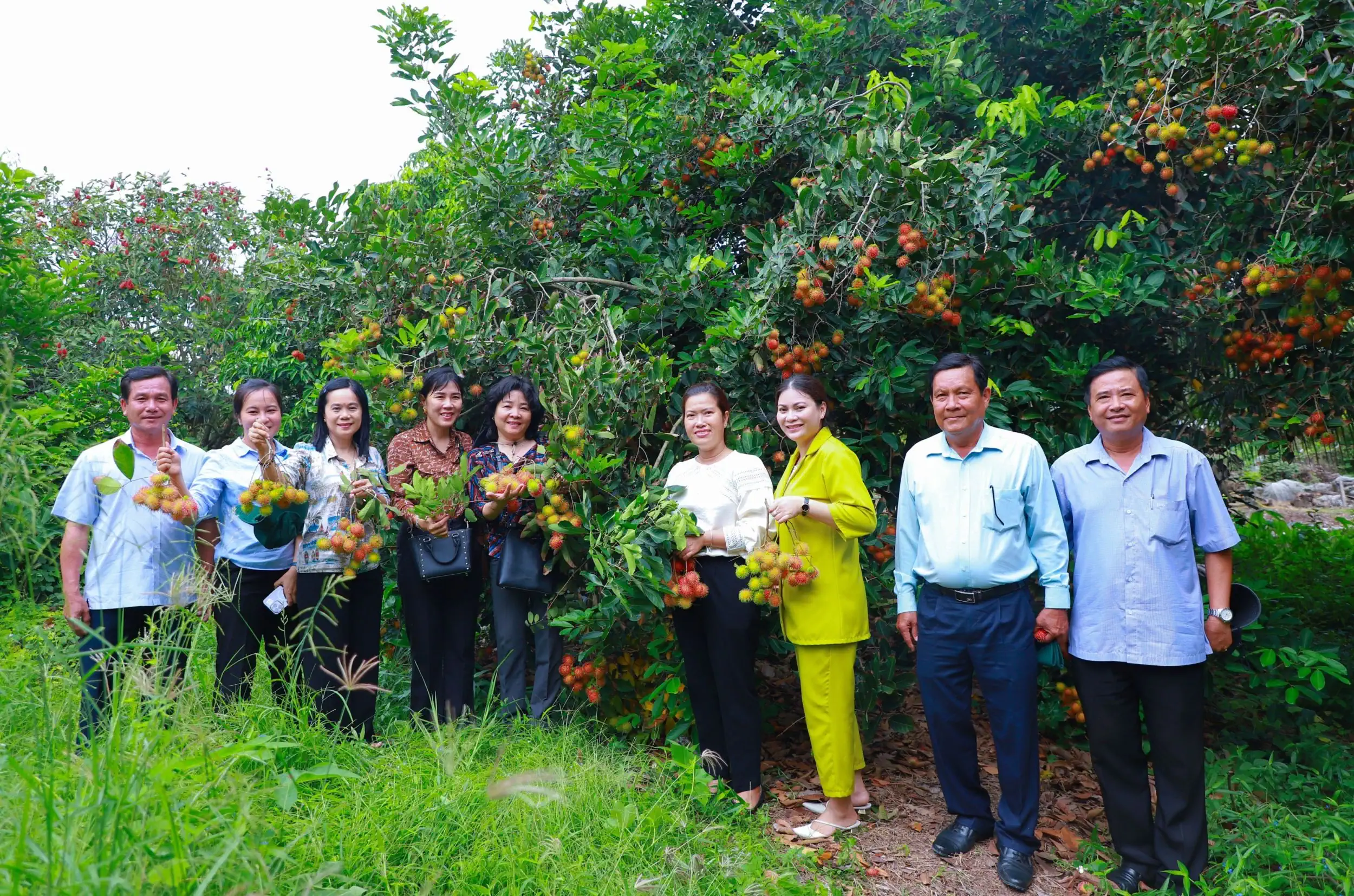 Vườn trái cây tại quận Thốt Nốt được khảo sát, hỗ trợ canh tác kết hợp phát triển du lịch.