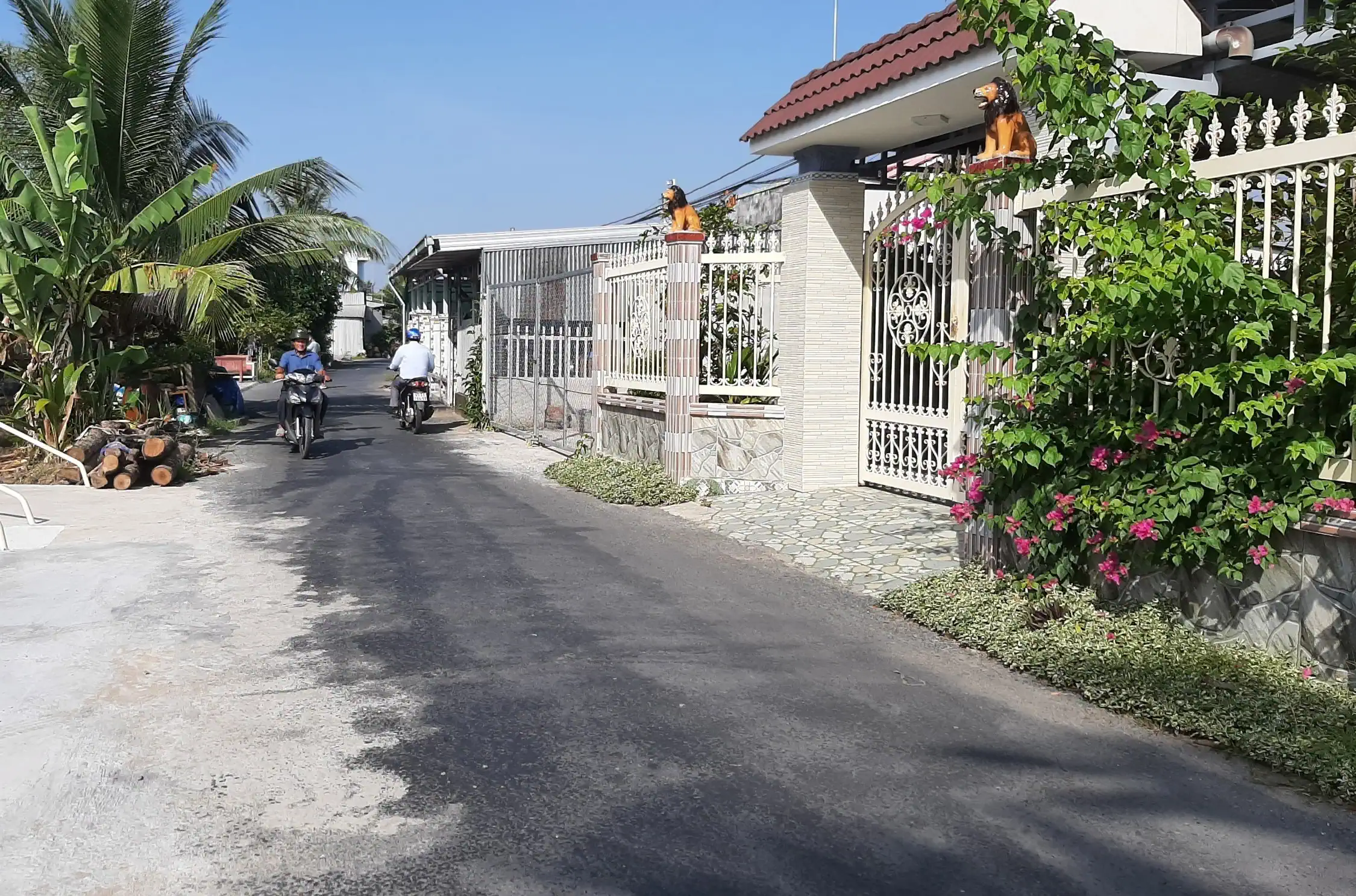 Tuyến giao thông ở khu vực Thới Trinh được trải nhựa, giúp người dân lưu thông thuận lợi, an toàn. 