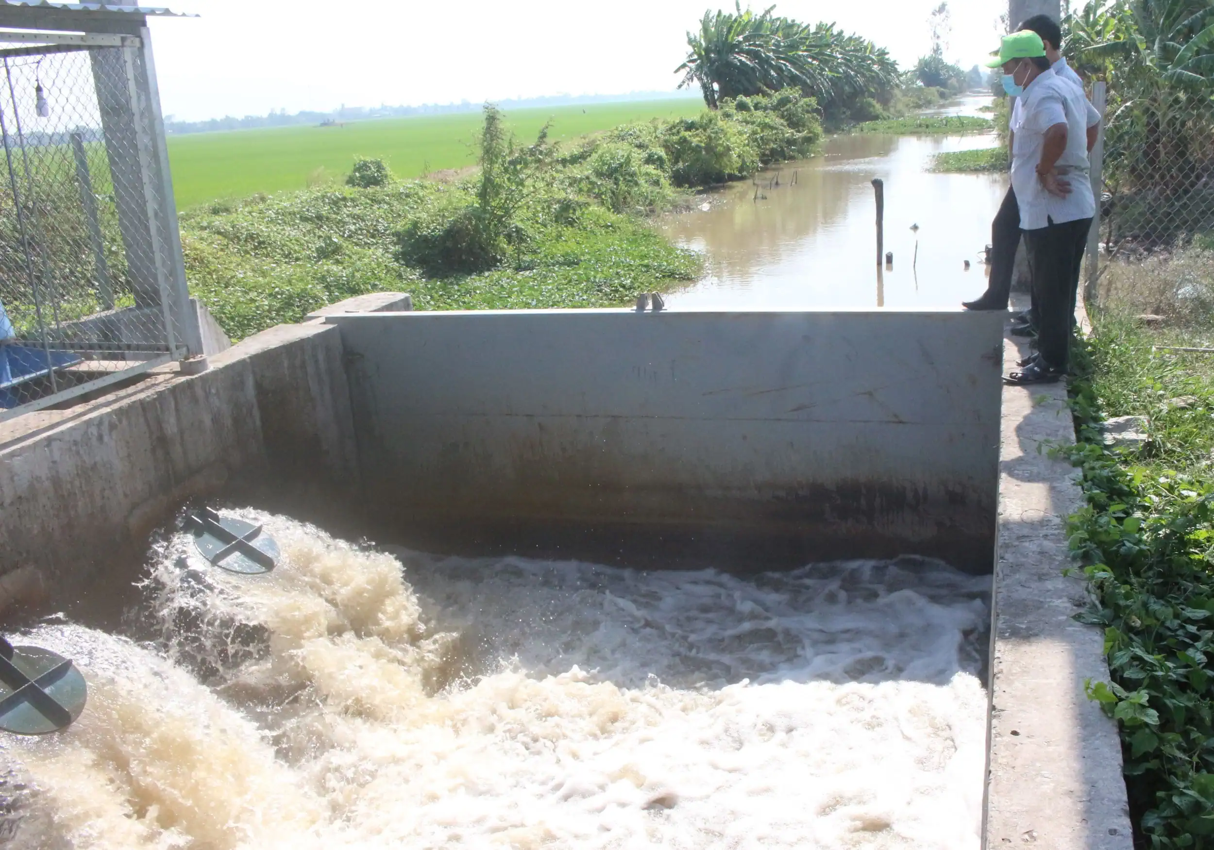 Xâm nhập mặn sẽ tăng cao tại vùng ĐBSCL vào kỳ triều cường rằm tháng 11 âm lịch
