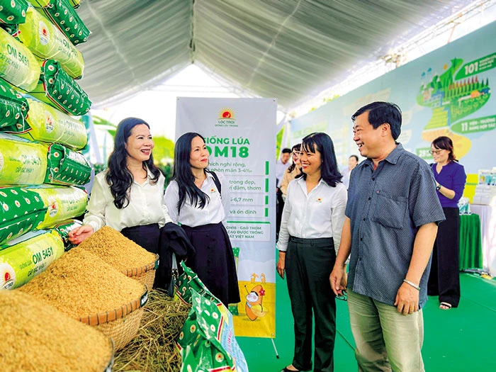 Gắn kết, xây dựng ngành hàng lúa gạo bền vững hơn, xanh hơn, trách nhiệm hơn