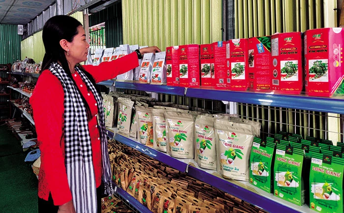 Khát vọng tạo giá trị mới cho trái mãng cầu xiêm