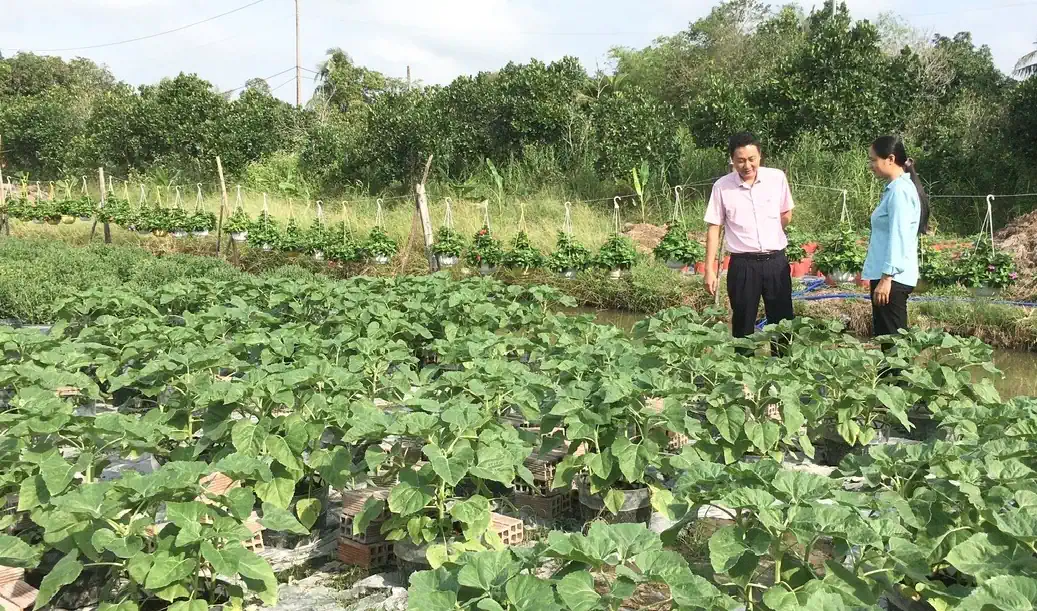 Tập trung nâng cao chất lượng và hiệu quả tín dụng chính sách
