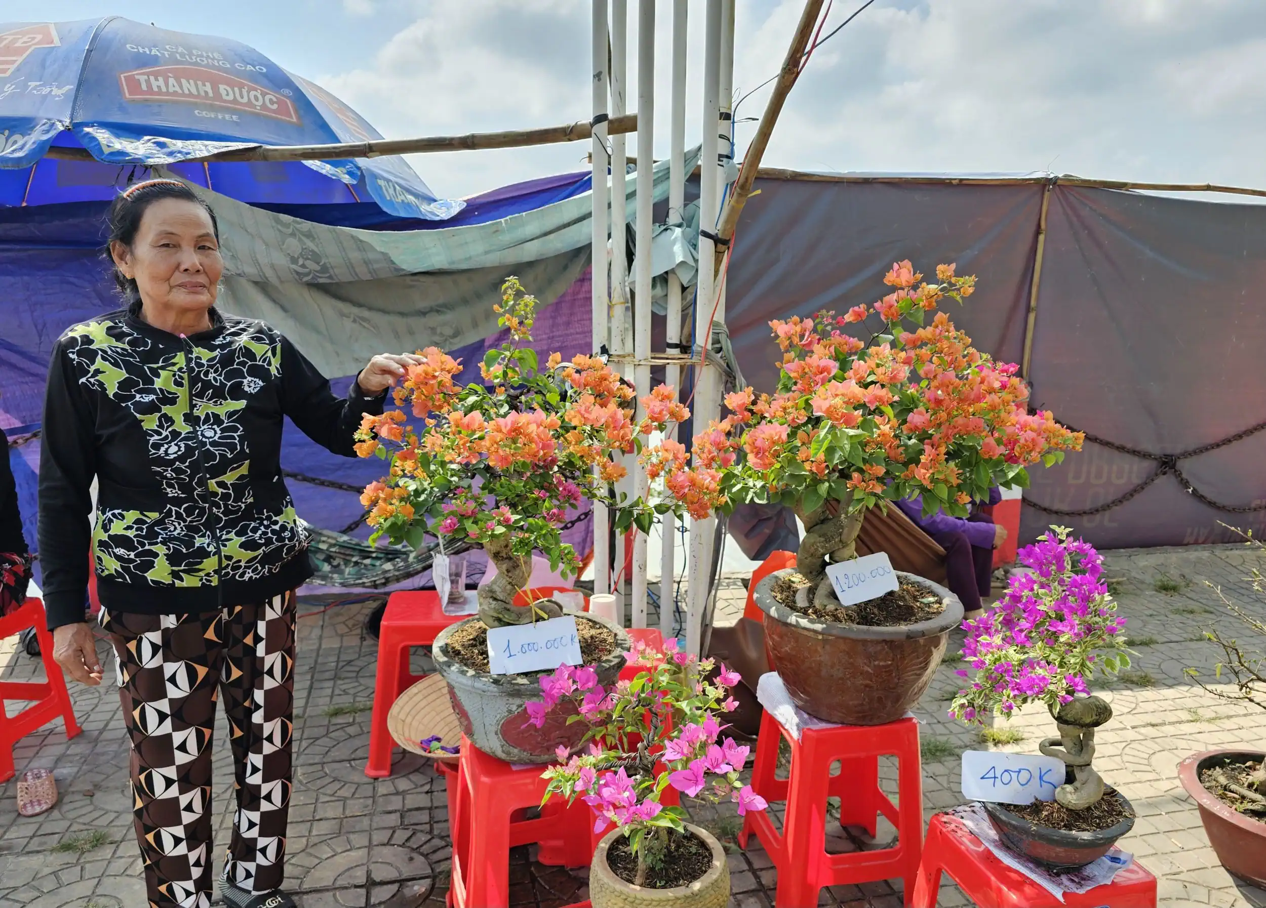 Sức mua yếu, hoa kiểng Tết giảm giá