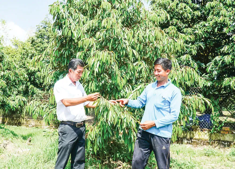 Vươn lên tầm cao mới