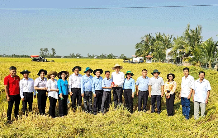 Lãnh đạo thành phố thăm đồng, chúc Tết bà con nông dân, hợp tác xã và doanh nghiệp nông nghiệp