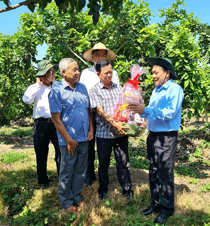 Lãnh đạo thành phố thăm đồng, chúc Tết bà con nông dân, hợp tác xã và doanh nghiệp nông nghiệp