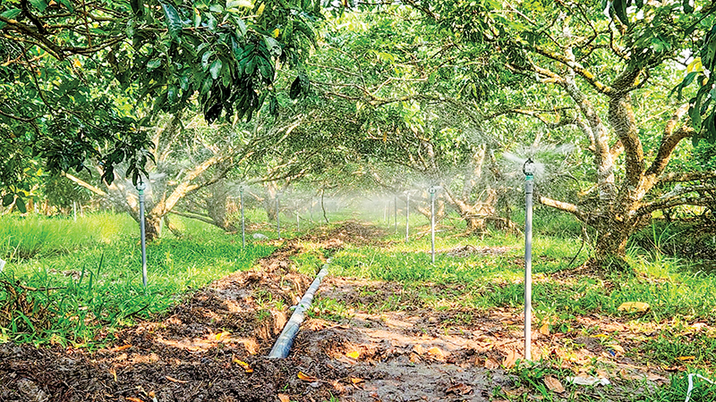 Gần 16 tỉ đồng phục vụ cơ giới hóa; chế biến nông lâm, thủy sản và xây dựng vùng sản xuất nông nghiệp tập trung