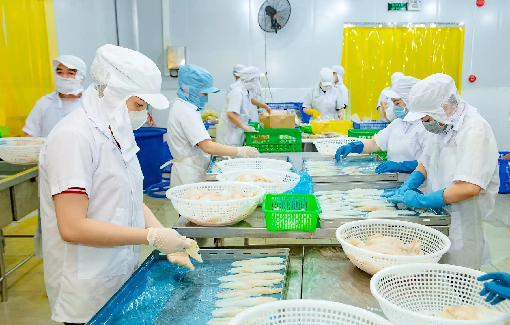 Xây dựng hợp tác xã điển hình cho các ngành hàng chủ lực