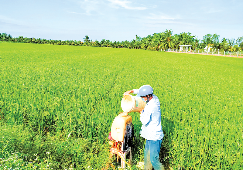 Vĩnh Long tăng cường quản lý vật tư nông nghiệp